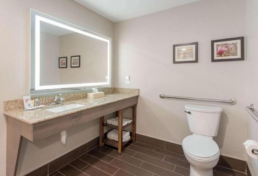 בית מלון כפרי Comfort Inn Grove City  Columbus South