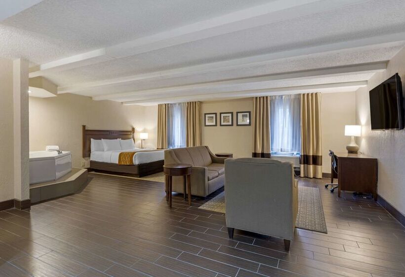 هتل Comfort Inn St. Louis  Westport Event Center