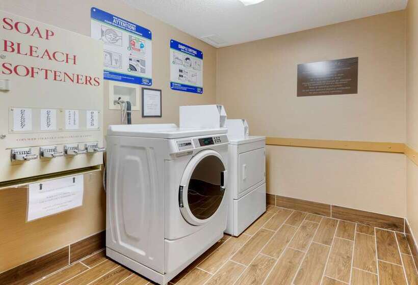 ホテル Comfort Inn & Suites Wilkes Barre  Arena