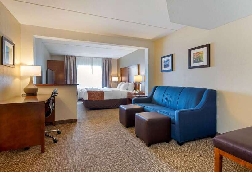 ホテル Comfort Inn & Suites Wilkes Barre  Arena