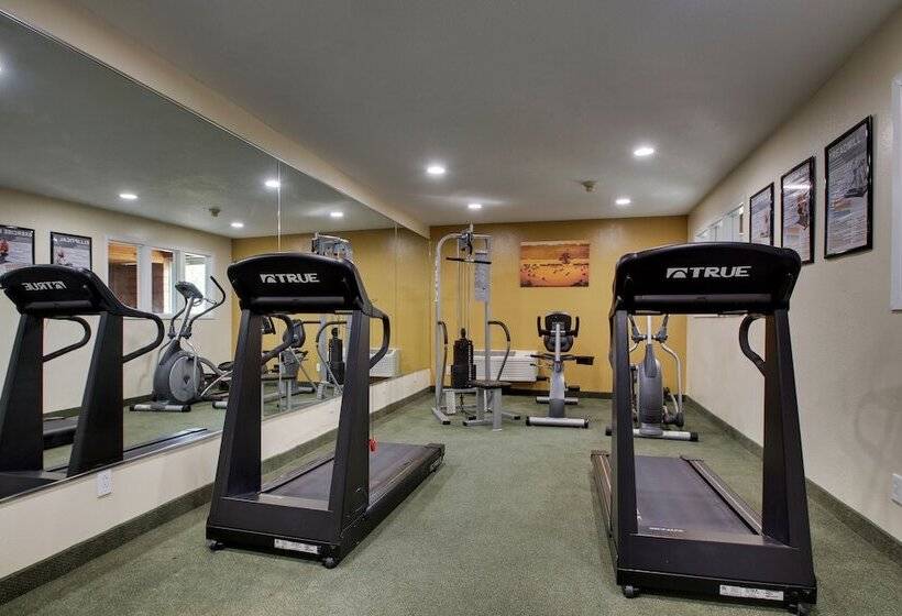 ホテル Everspring Inn & Suites