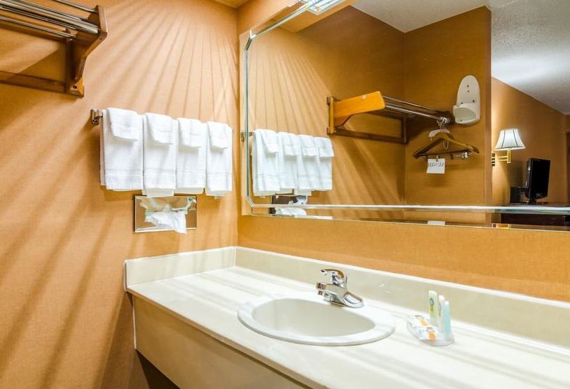 هتل Quality Inn Eureka Springs South