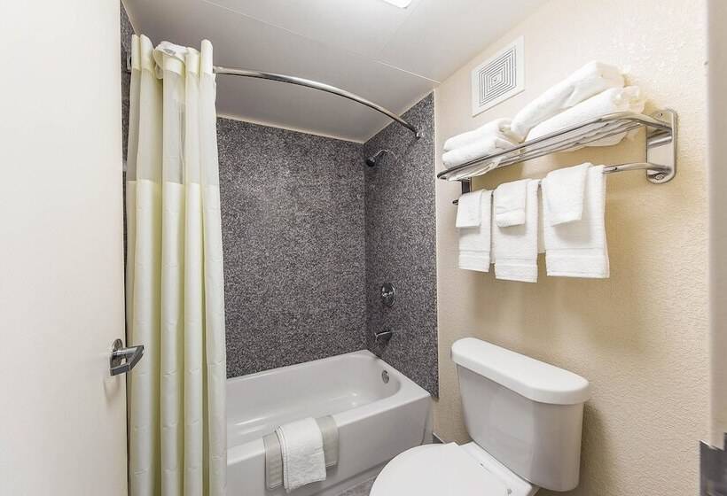 ホテル Quality Inn