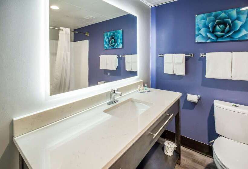 ホテル Quality Inn Near Mcas Cherry Point