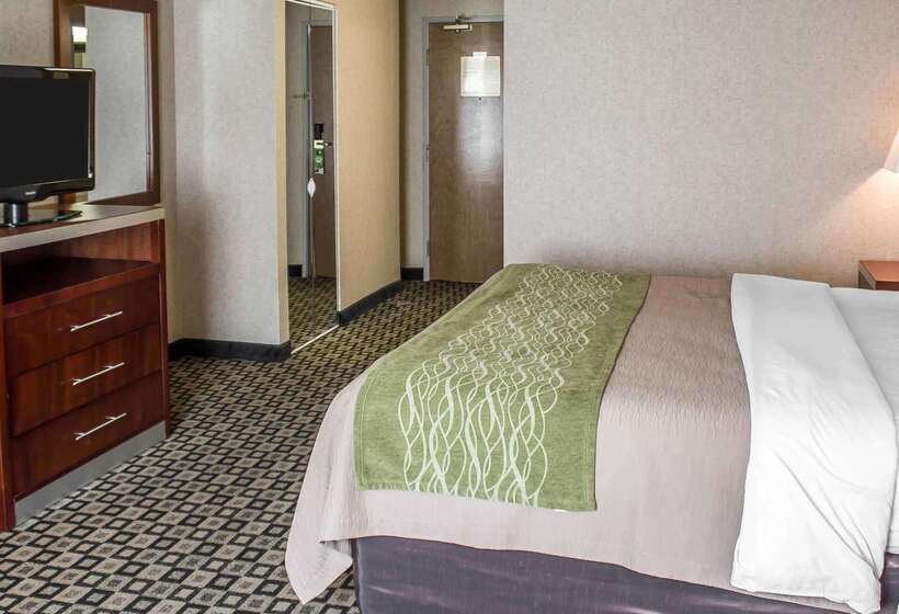 酒店 Quality Inn