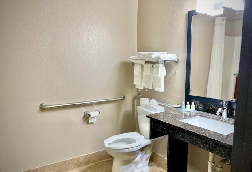 هتل Quality Inn & Suites Wisconsin Dells Downtown   Waterparks Area