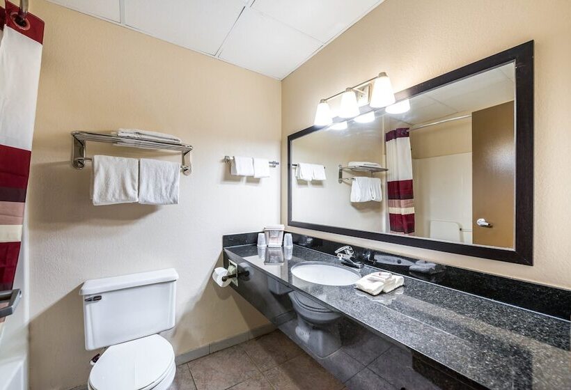 酒店 Red Roof Inn Palatine