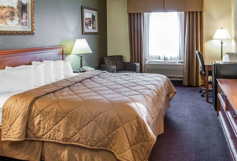 فندق Rodeway Inn