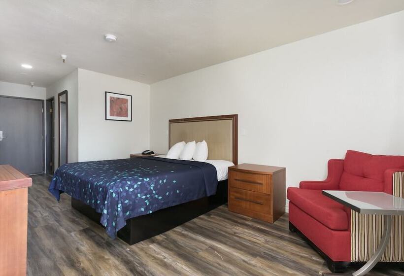 호텔 Waterloo Inn