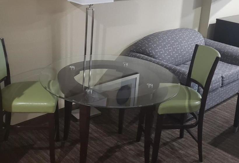 호텔 Horizon Inn & Suites