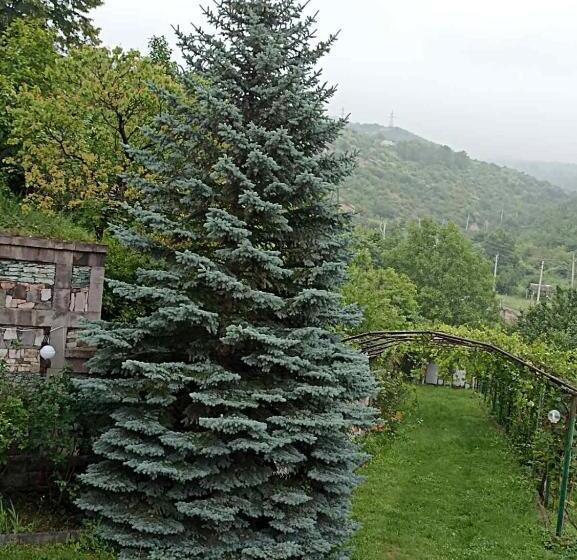 هاستل Luse Guest House