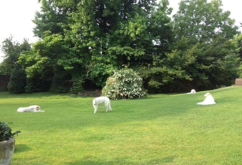 مبيت وإفطار Villa La Maggiorana