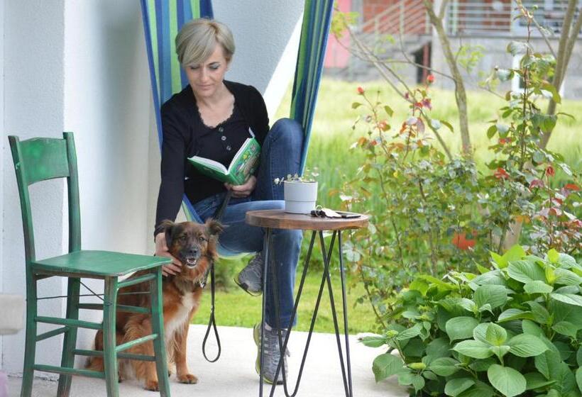 Mystic River Design Hostel