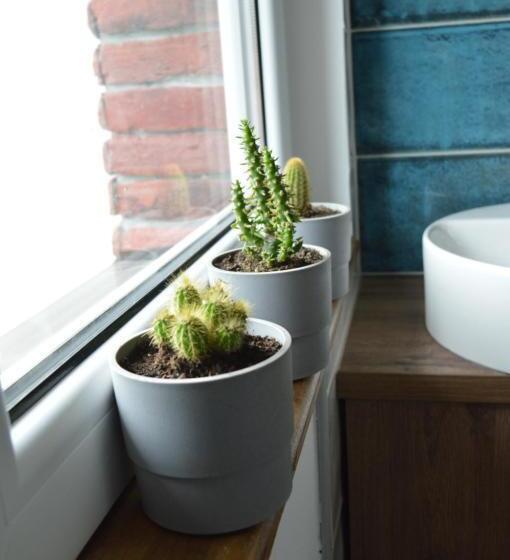 Mystic River Design Hostel