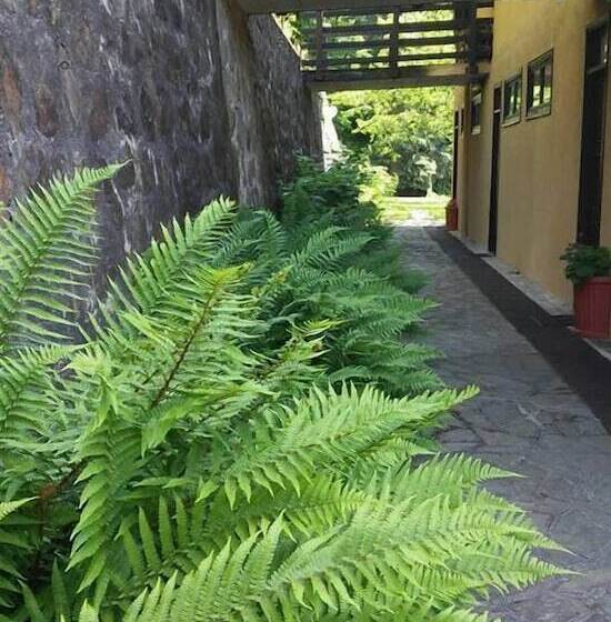 住宿加早餐  Fattoria Del Pino
