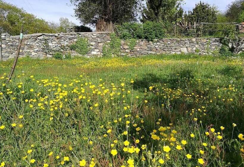 مبيت وإفطار Fattoria Del Pino