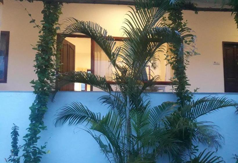 酒店 Alice Paradise By Moonrakers