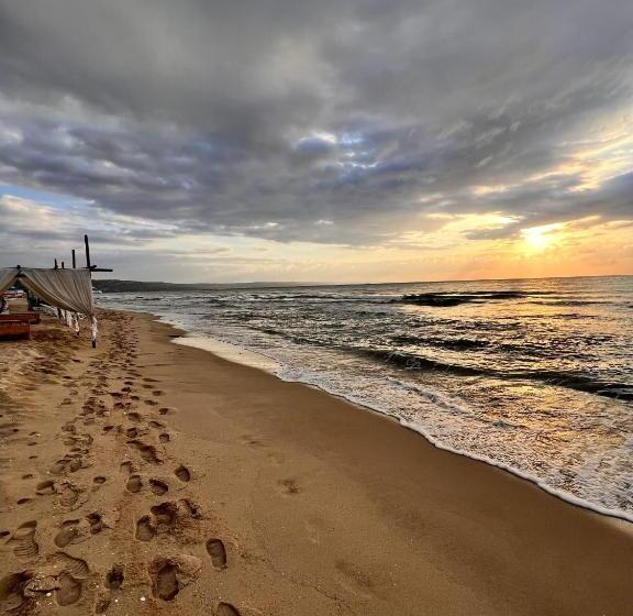 هتل Palma Beach
