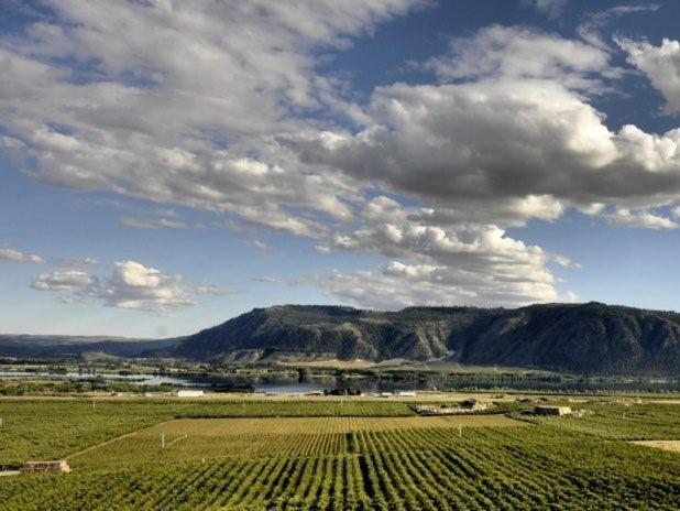 فندق صغير Lone Point Cellars