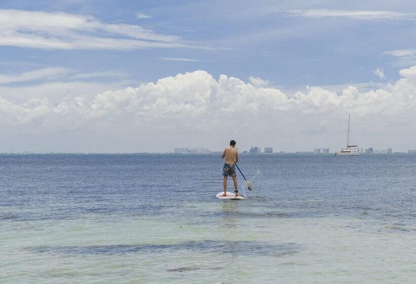 هاستل Mayan Monkey Isla Mujeres   Adults Only