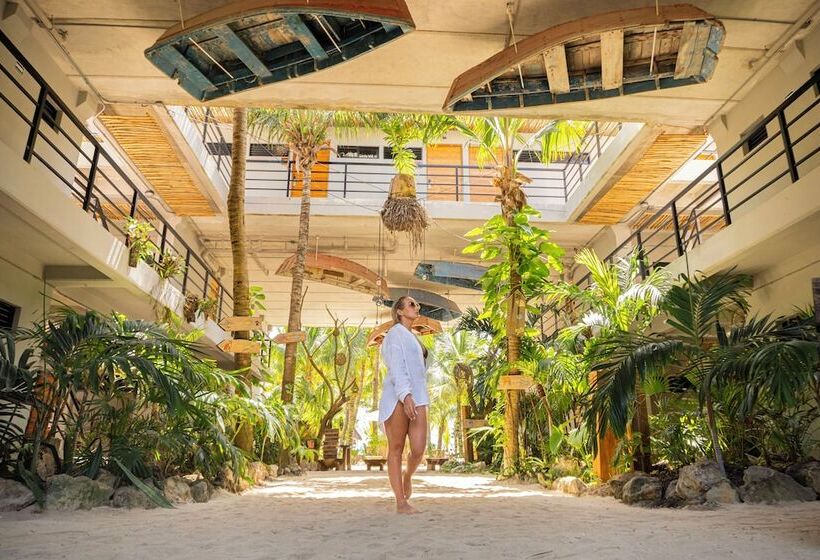 هاستل Mayan Monkey Isla Mujeres   Adults Only