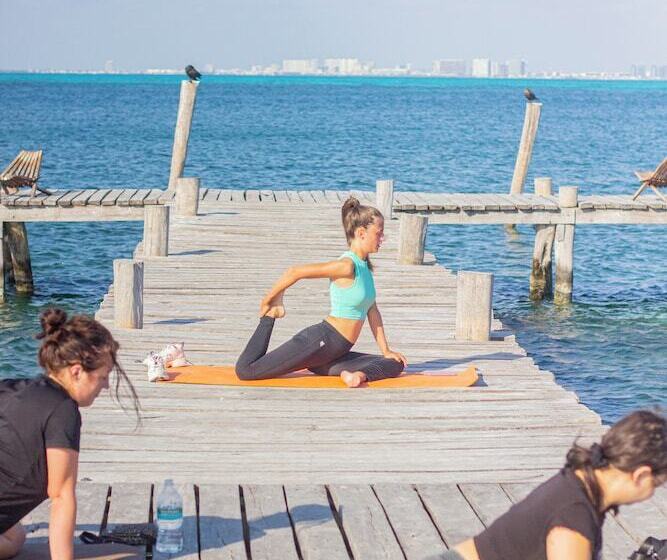 هاستل Mayan Monkey Isla Mujeres   Adults Only