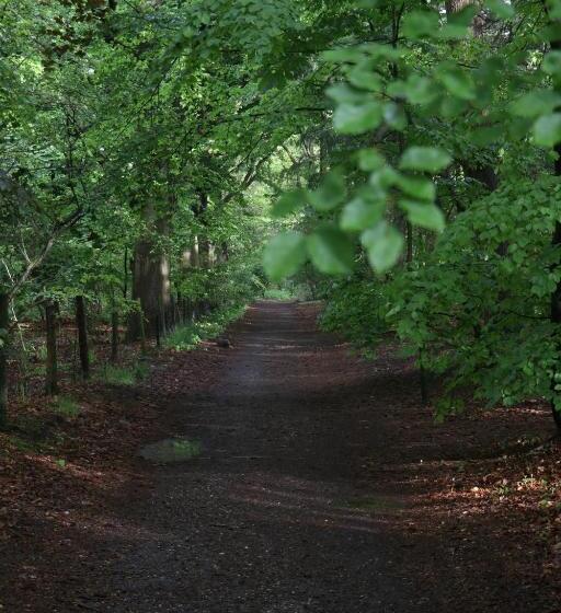 ペンション Cavalli's Cottage