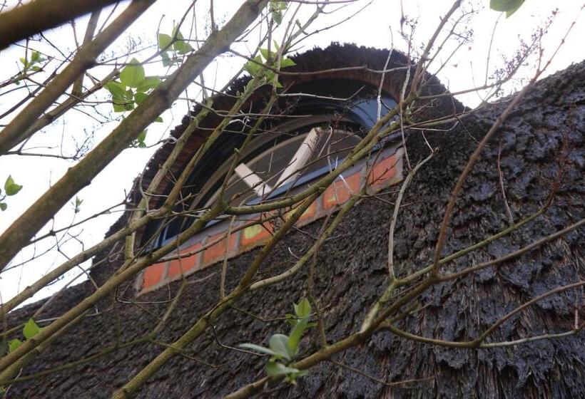 ペンション Cavalli's Cottage