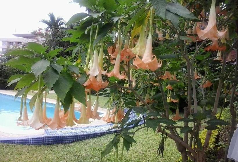 مبيت وإفطار Figtree Guesthouse