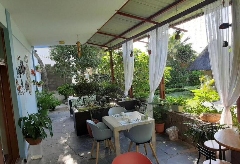 مبيت وإفطار Figtree Guesthouse