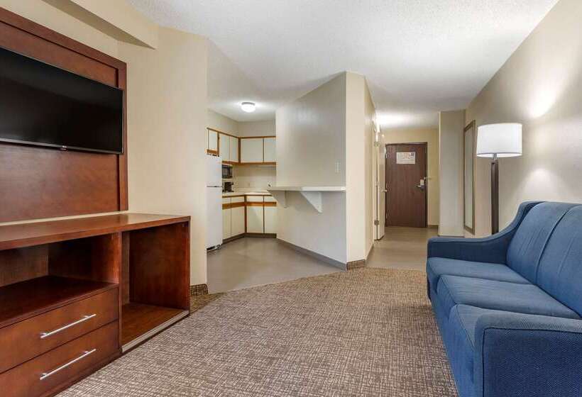호텔 Comfort Inn Charlotte Airport Uptown