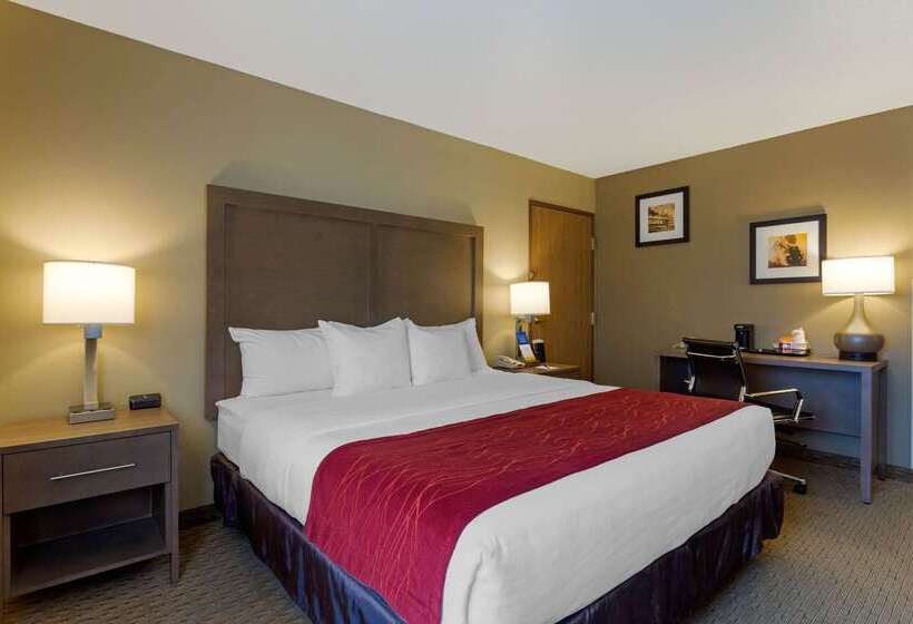 酒店 Comfort Inn Marshall Station