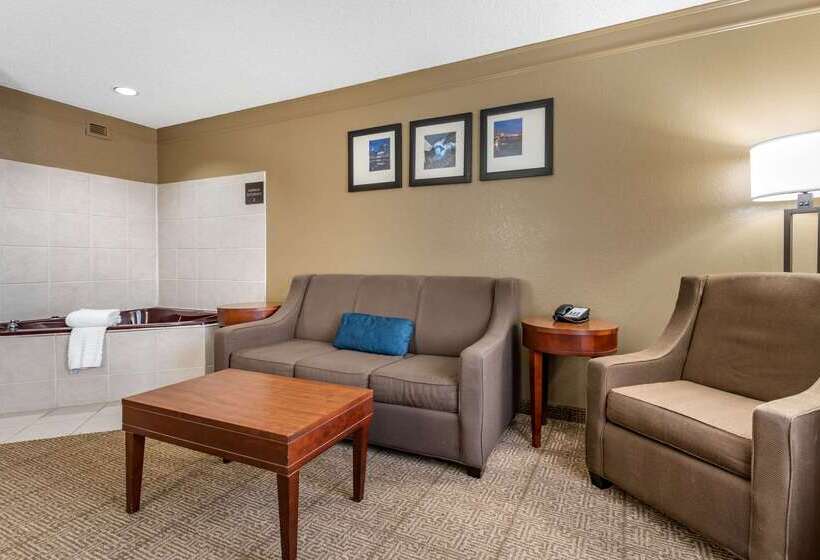 هتل Comfort Inn & Suites