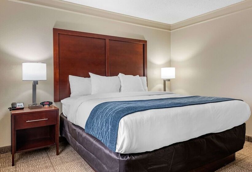 هتل Comfort Inn & Suites