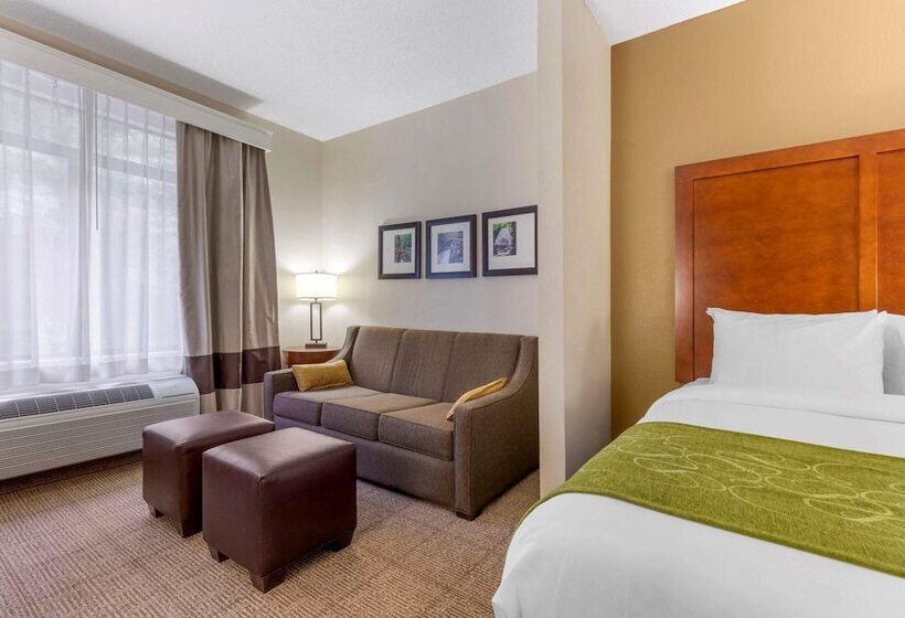 فندق Comfort Suites Boone  University Area