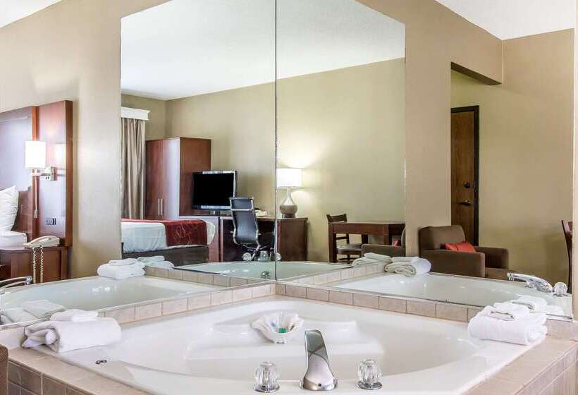 בית מלון כפרי Comfort Suites Effingham