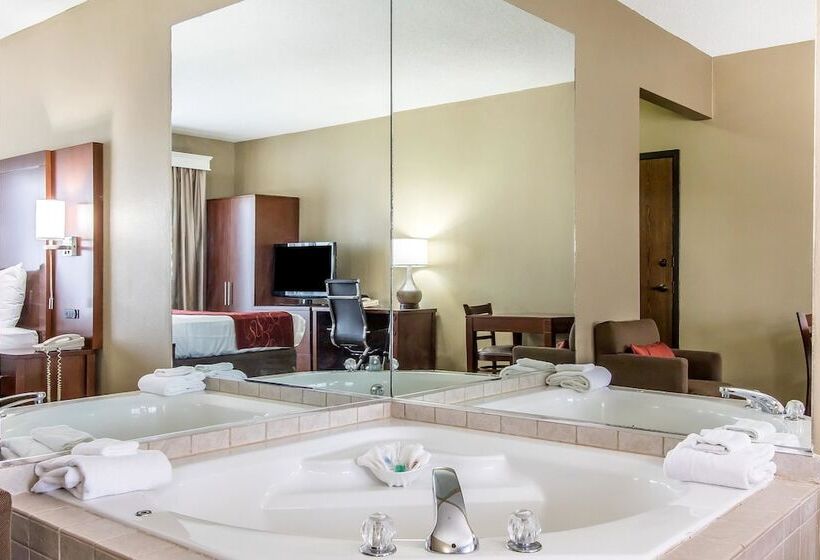 בית מלון כפרי Comfort Suites Effingham