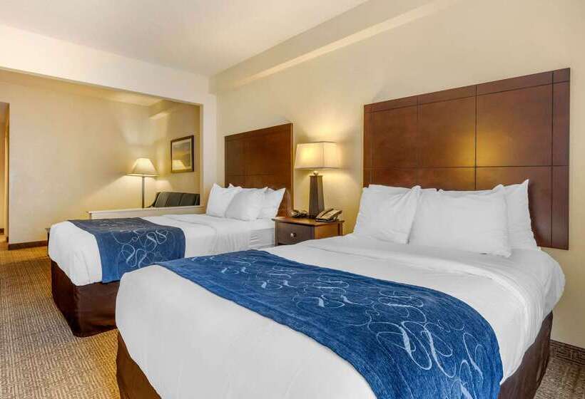 ホテル Comfort Suites Gastonia  Charlotte