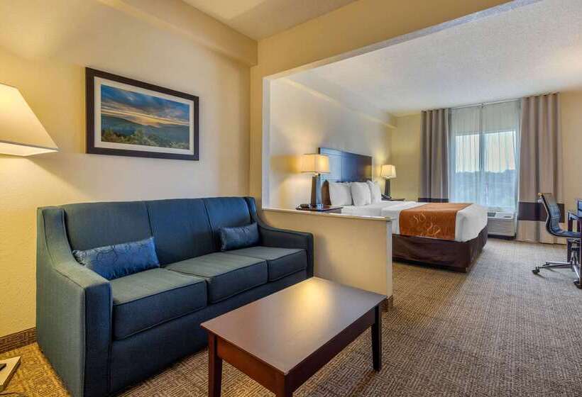 ホテル Comfort Suites Gastonia  Charlotte