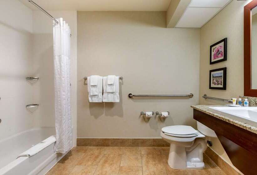 ホテル Comfort Suites Gastonia  Charlotte