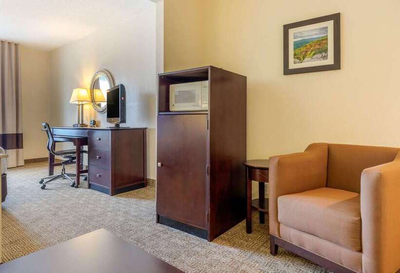 ホテル Comfort Suites Gastonia  Charlotte