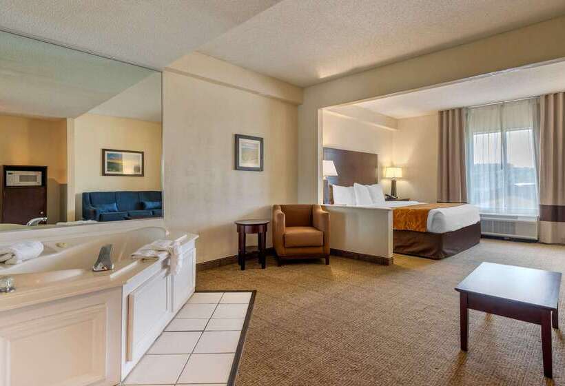 ホテル Comfort Suites Gastonia  Charlotte
