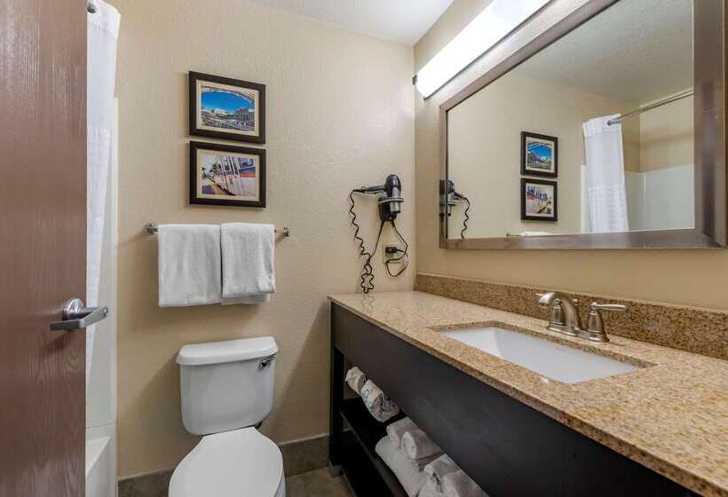 Отель Comfort Suites Highlands Ranch Denver Tech Center Area