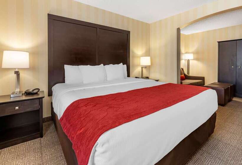 Отель Comfort Suites Highlands Ranch Denver Tech Center Area