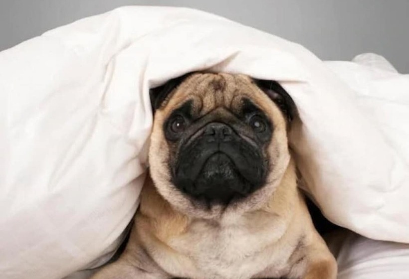 هتل Country Inn & Suites By Radisson, Annapolis, Md