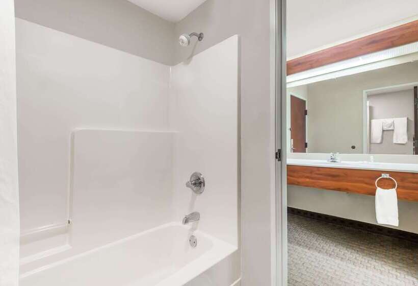 酒店 Days Inn By Wyndham Norton