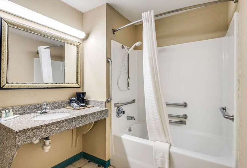 ホテル Quality Inn & Suites Dublin