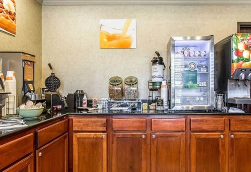 فندق Quality Inn & Suites Durant