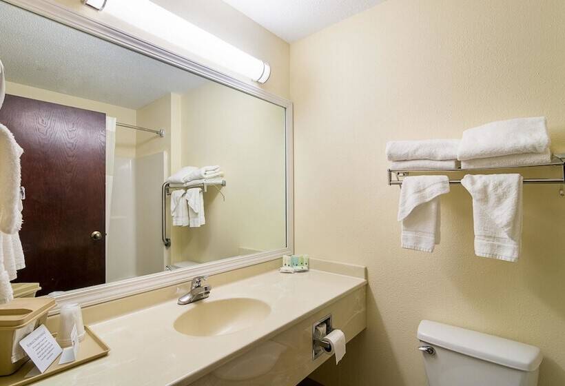 酒店 Quality Inn & Suites Near I 80 And I 294