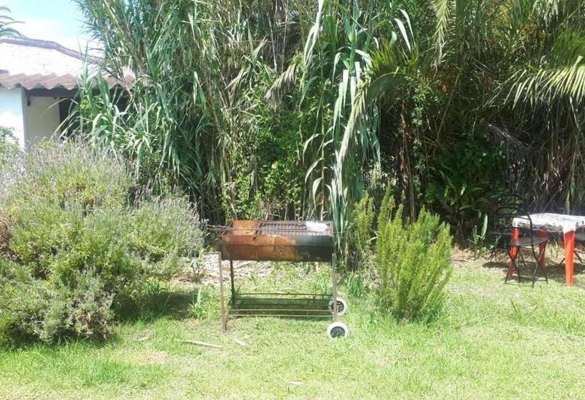 هاستل Buenavida